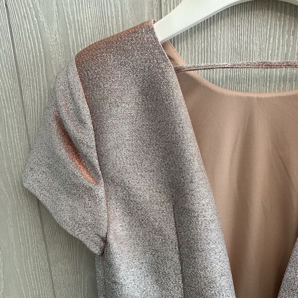 Express Rose Gold Shimmer Short Sleeve Dress Size 6 NWT - Picture 7 of 7
